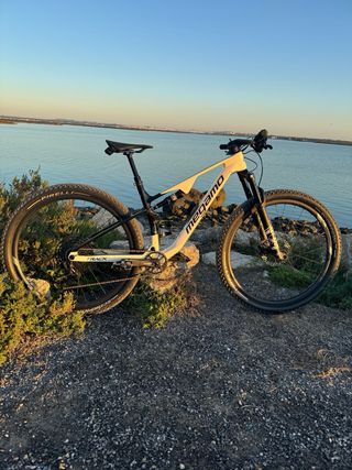 Megamo 29 Carbono Talla M con Garantía