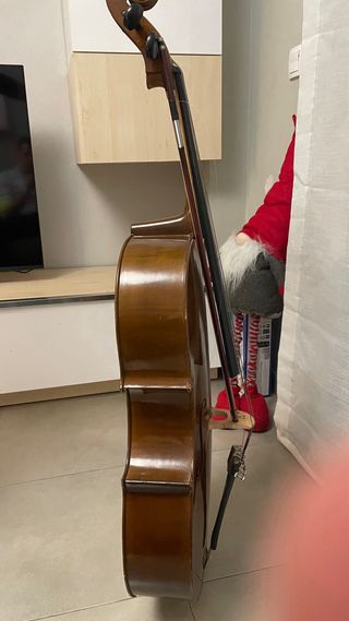 Viola Nova Study 3/4 14”