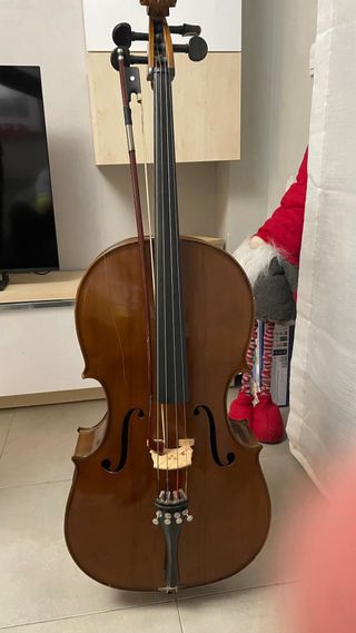 Viola Nova Study 3/4 14”