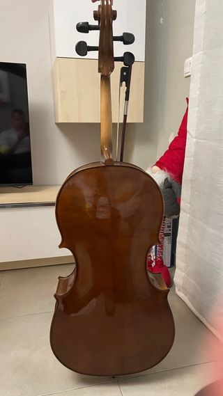 Viola Nova Study 3/4 14”