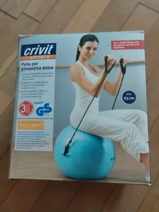 Pelota de Pilates Crivit 65 cm