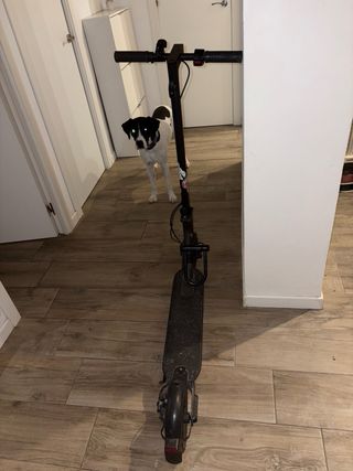 Patinete Eléctrico  Mi Electric scooter pro2