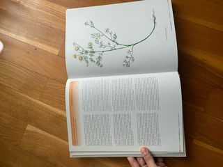 Euskal autonomia erkidegoko flora baskular meha...