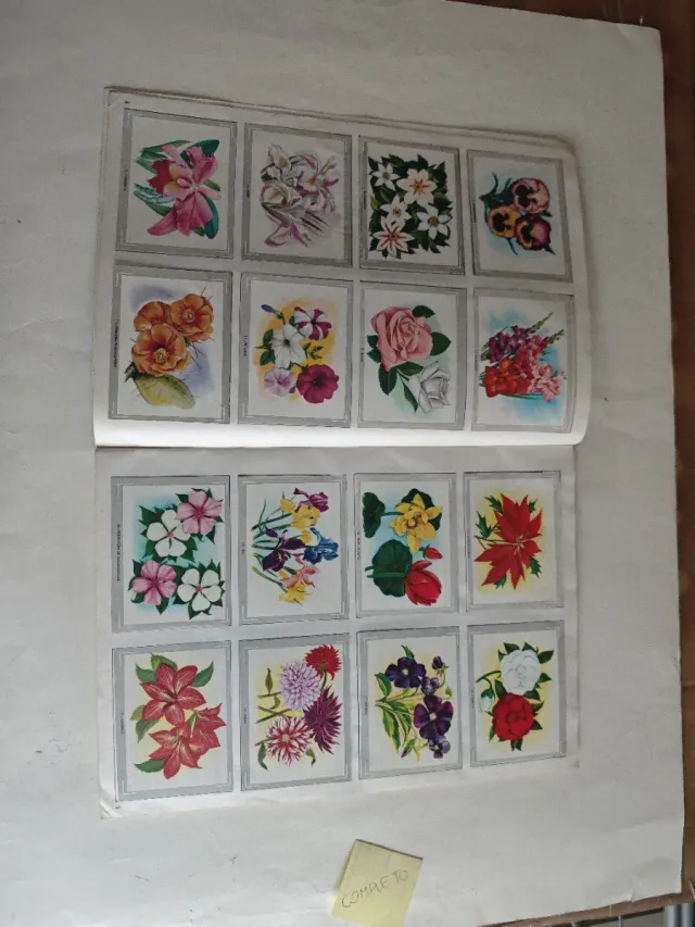 Álbum Naturaleza y Color Completo 380 cromos.