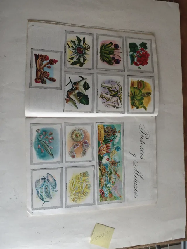 Álbum Naturaleza y Color Completo 380 cromos.