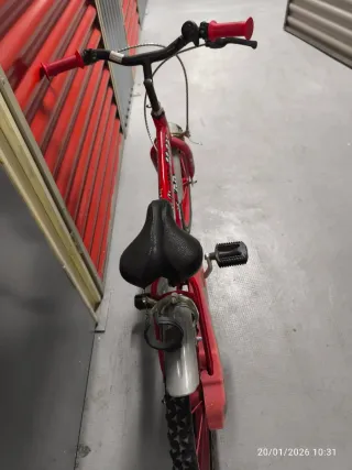 Bici infantil roja Formula Max