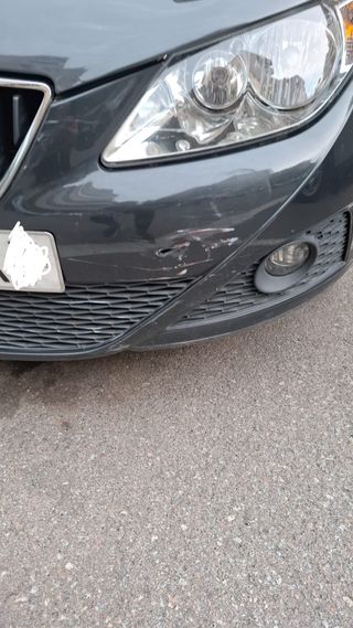 SEAT Ibiza 2010