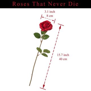 Disfraz Vestido Largo Gótico Vintage (Talla M)