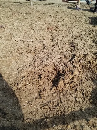 GRATIS Estiércol de caballo