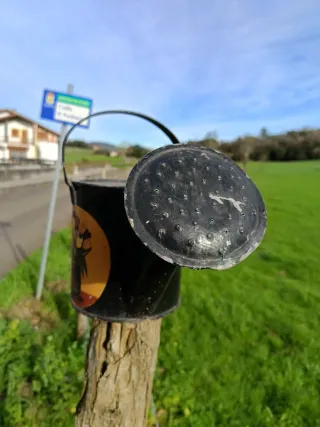 Regadera de metal decorada con flores