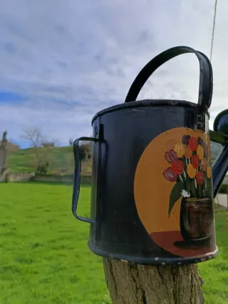 Regadera de metal decorada con flores