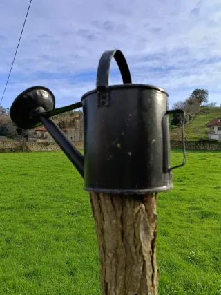Regadera de metal decorada con flores