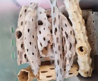 Raíz/tronco/madera Decoración acuario/hogar