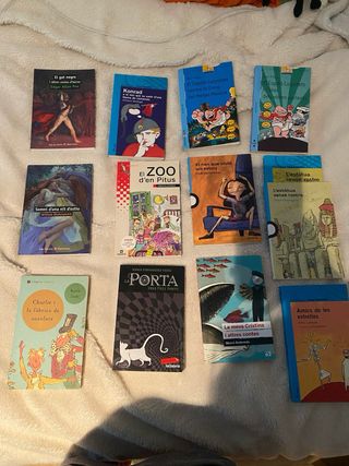 libros en buen estado, literatura catalana