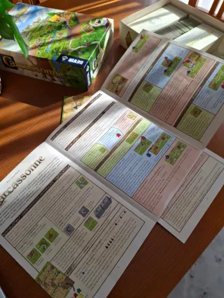 Juego de mesa Carcassonne + fichas río