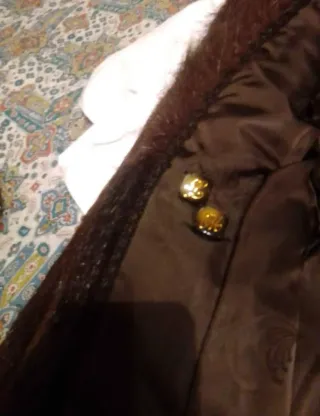 Pelliccia castoro selvaggio marrone