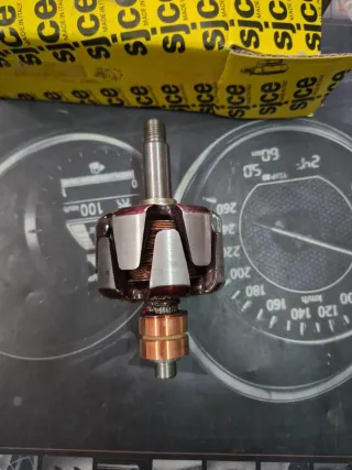 Rotore alternatore Bosch Ford Transit