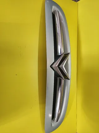 CALANDRA DELANTERA CITROEN XSARA II verde claro