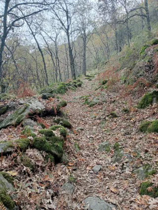 Alquiler de piso espectacular