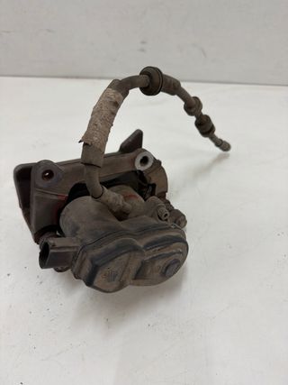 Pinza Freno Trasera Derecha Audi A4 A5 B8 8T