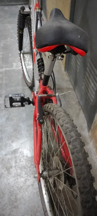 Bicicleta Topbike Teens 24 TSX Alu LTD41