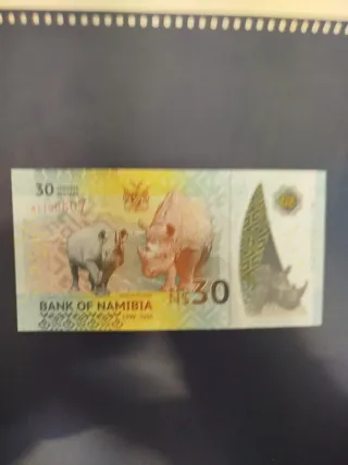 Billete 30 N$ Namibia 30 Aniversario Independencia