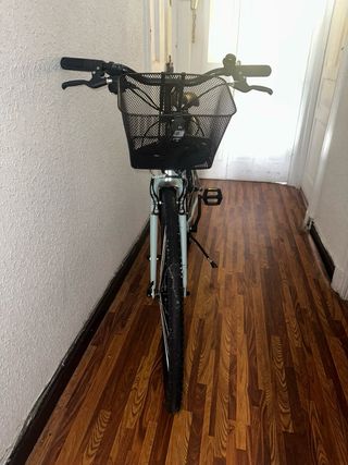 Bicicleta urbana Mint