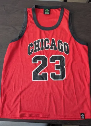 Camiseta NBA Chicago Bulls 23
