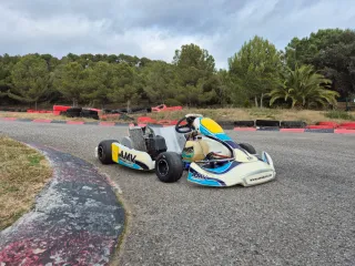 Kart 125 Rotax AMV