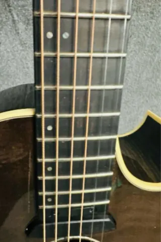 Guitarra electroacústica Parker Q7 Event