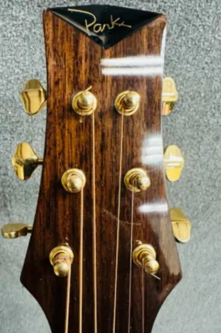 Guitarra electroacústica Parker Q7 Event