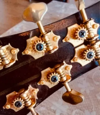 Guitarra electroacústica Parker Q7 Event