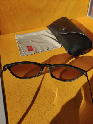 Ray Ban Erika Clásicas Gafas de Sol Marrones