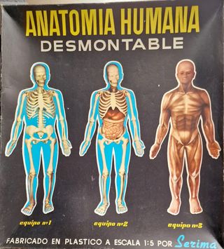 Juego Anatomía Humana Desmontable