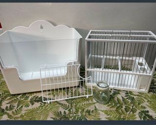 Pack Jilguero Jaula y Accesorios