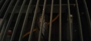 Amplificador Philips EL 6405 Válvulas