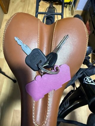 Bici Eléctrica Moma Plegable