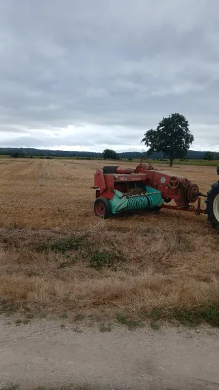 Empacadora Batlle Especial 262