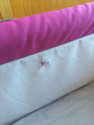 Cuna colecho Chicco Next2me