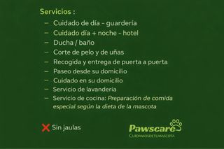 Cuidado de mascotas , cuidado canino , petsitter .