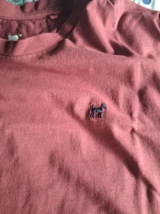 Pack 2 Camisetas Williot Hombre Talla M