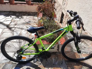 Bicicleta Rockrider ST 500 Verde