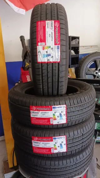 205/60 R16 92V FIREMAX FM601