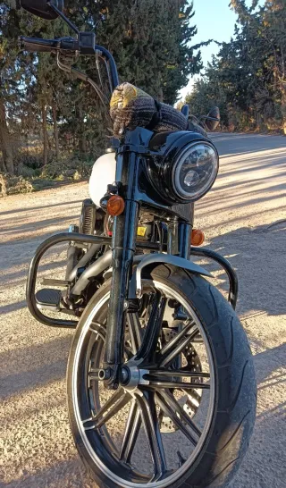 Harley Davidson FLD Switchback 103