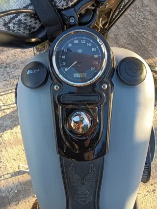 Harley Davidson FLD Switchback 103