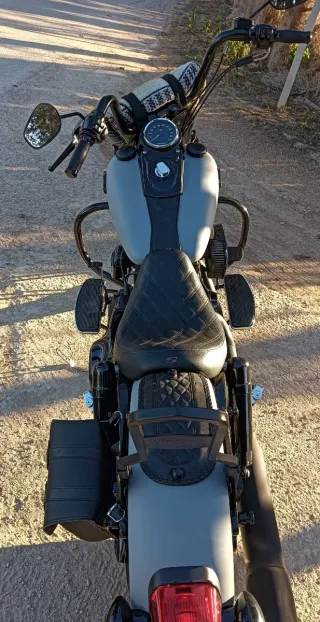 Harley Davidson FLD Switchback 103