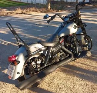 Harley Davidson FLD Switchback 103