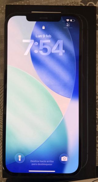 iPhone 12 Pro Max 256GB