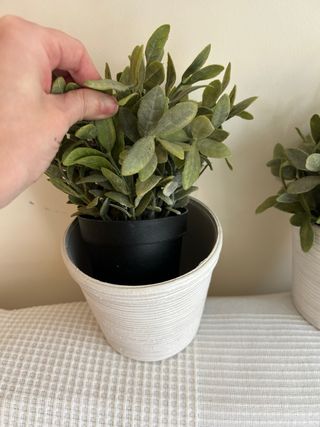 Juego 2 Macetas Blancas con Plantas Verdes