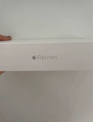 Apple iPad mini Plateado